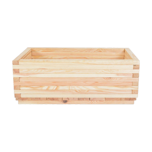 Pěstování